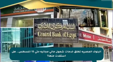 البنوك المصرية تطلق خدمات شمول مالي مجانية حتى 15 أغسطس.. هل استفدت منها؟